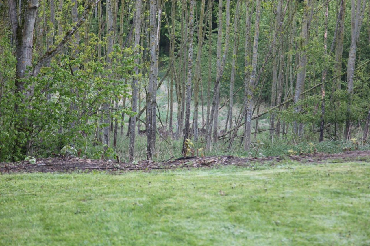 Chalet Forsthof Everstorf Grevesmuehlen Eksteriør billede