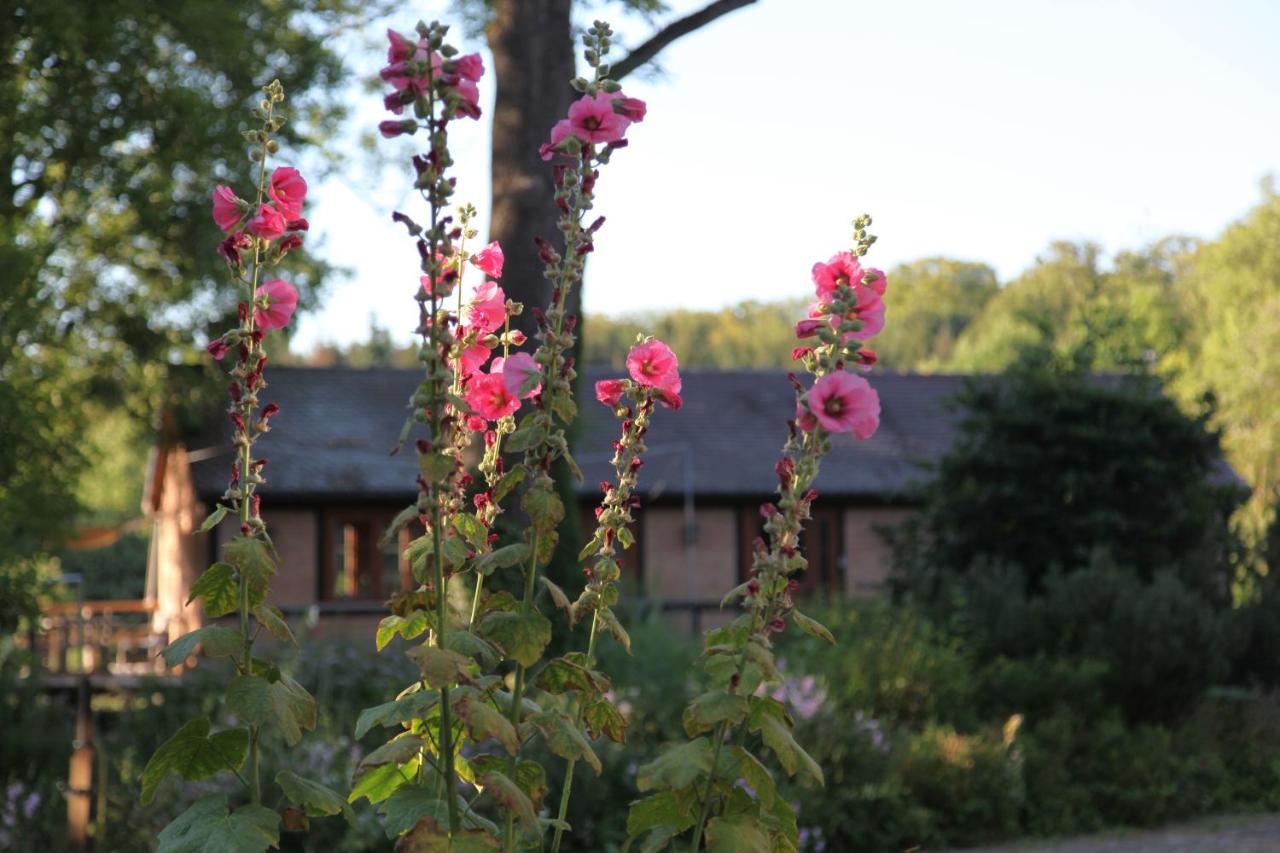 Chalet Forsthof Everstorf Grevesmuehlen Eksteriør billede