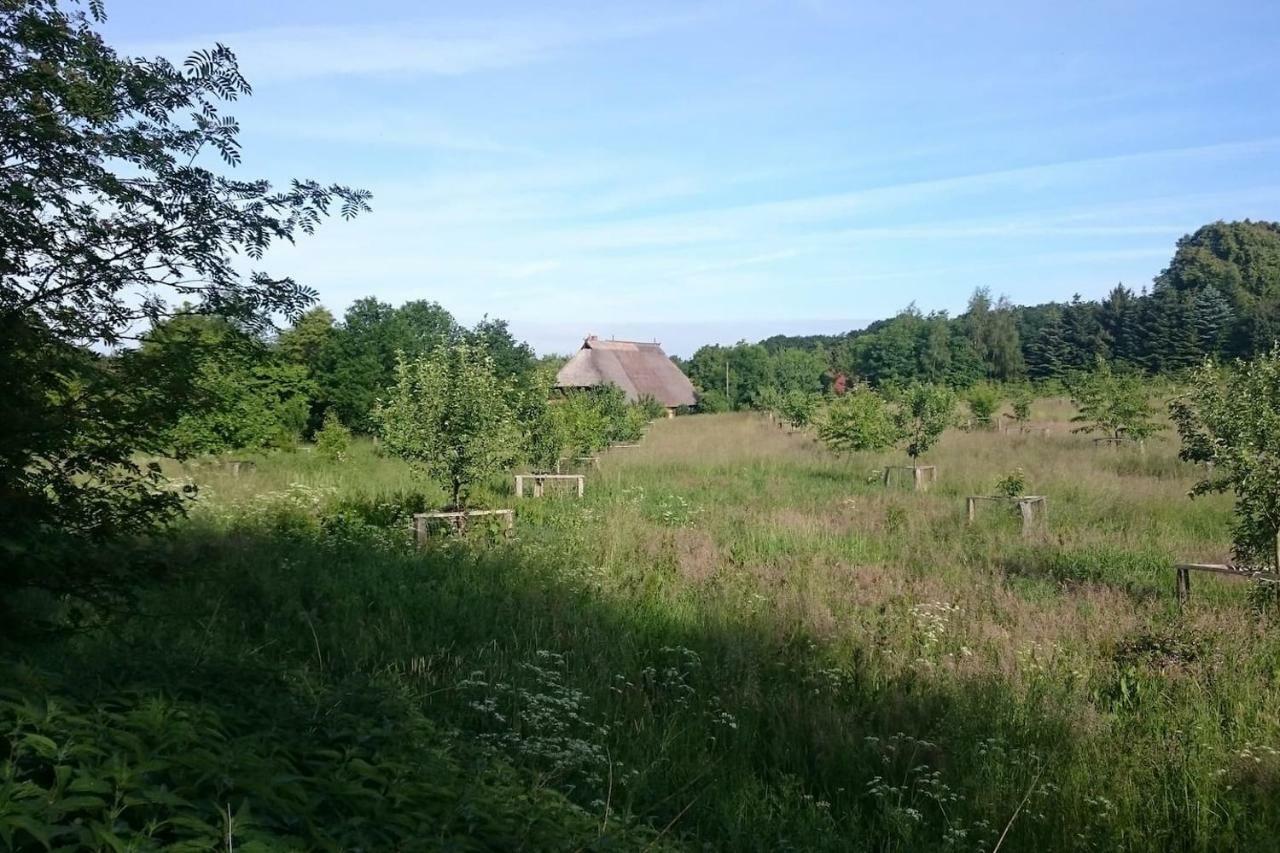 Chalet Forsthof Everstorf Grevesmuehlen Eksteriør billede